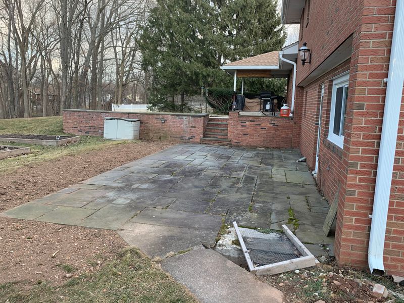 before: backyard side view