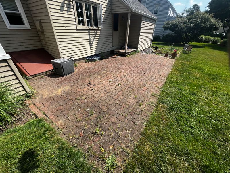 before: overgrown old patio
