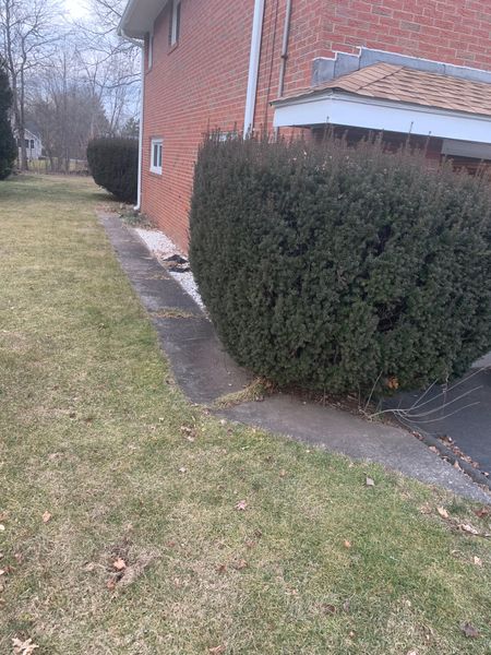 before: side walkway
